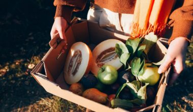 Mangiare due kiwi prima di dormire, l'abitudine che abbassa il cortisolo