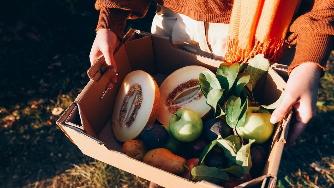 Mangiare due kiwi prima di dormire, l'abitudine che abbassa il cortisolo