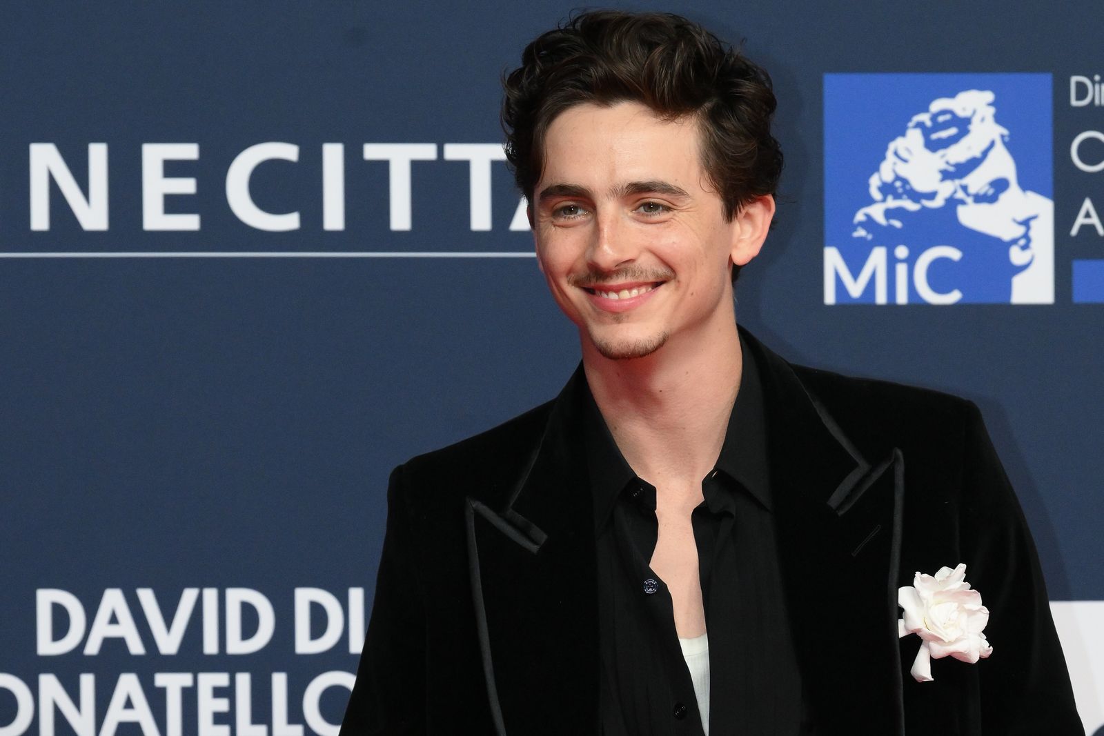 Una foto della scorsa primavera Chalamet con morbidi ricci castani da rubacuori.