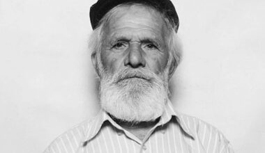 La vita va così, la vera storia dietro il film di Riccardo Milani campione d'incassi al cinema