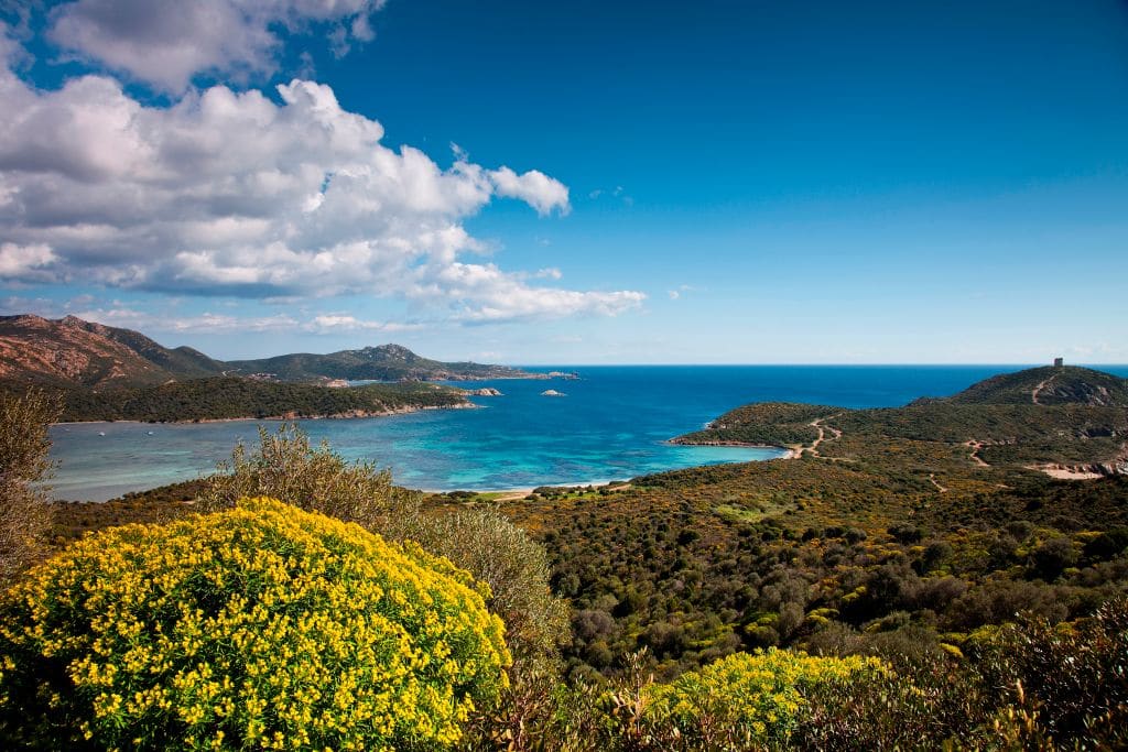 Capo Malfatano e Porto Malfatano. Teulada (CA). Sardinia. Italy. Europe. (Photo by: Luca Picciau/REDA/Universal Images Group via Getty Images)