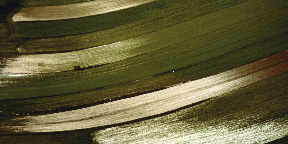 Franco Fontana, Luigi Ghirri e altri cinquantatré maestri della fotografia a colori