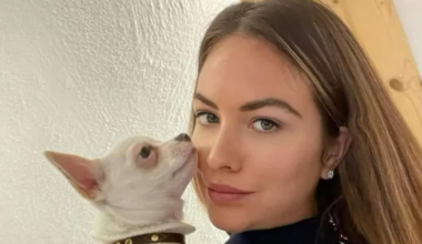 Femminicidio a Milano, ex fidanzato: 'Pamela voleva scappare'