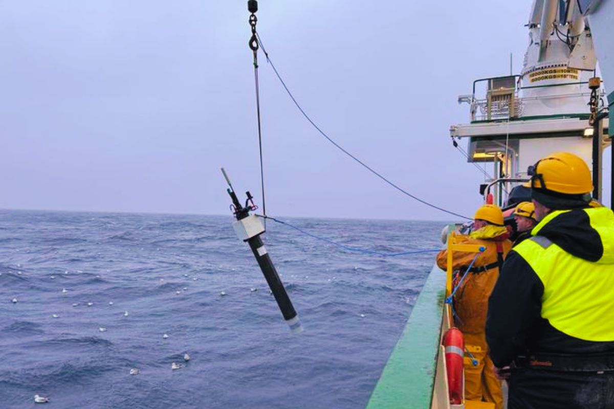 Incredibile scoperta nel profondo dell’oceano: un robot canadese trova una massa colossale pari a 250 milioni di elefanti