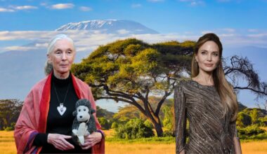 dove è stato girato il film