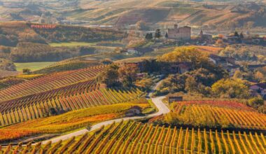 Alba eletta Capitale Italiana dell’Arte Contemporanea 2027