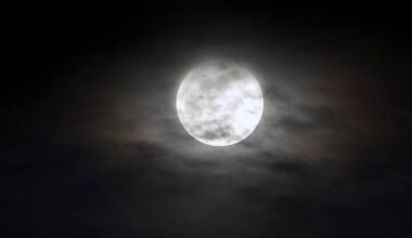 Luna e ciclo mestruale: scoperte scientifiche recenti
