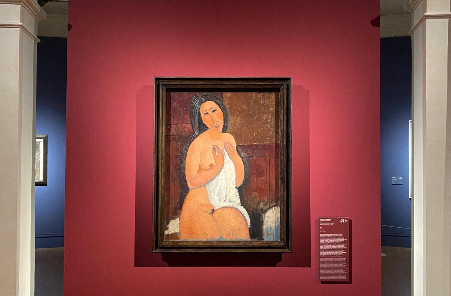 Modigliani, Picasso e una storia di Collezionismo a Palazzo Zabarella