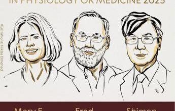 Nobel per la Medicina a Brunkow, Ramsdell e Sakaguchi per scoperte su sistema immunitario – Vetrina Tv