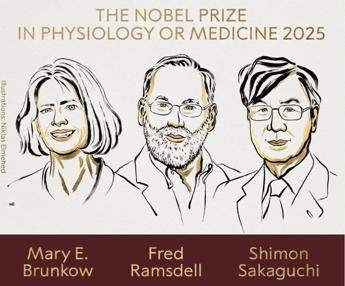 Nobel per la Medicina a Brunkow, Ramsdell e Sakaguchi per scoperte su sistema immunitario – Vetrina Tv