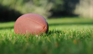 Federazione Italiana Rugby entra tra i Campioni della FAO