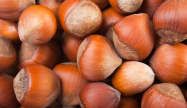 Prezzi delle nocciole raddoppiati e danni per 200 milioni a causa del clima