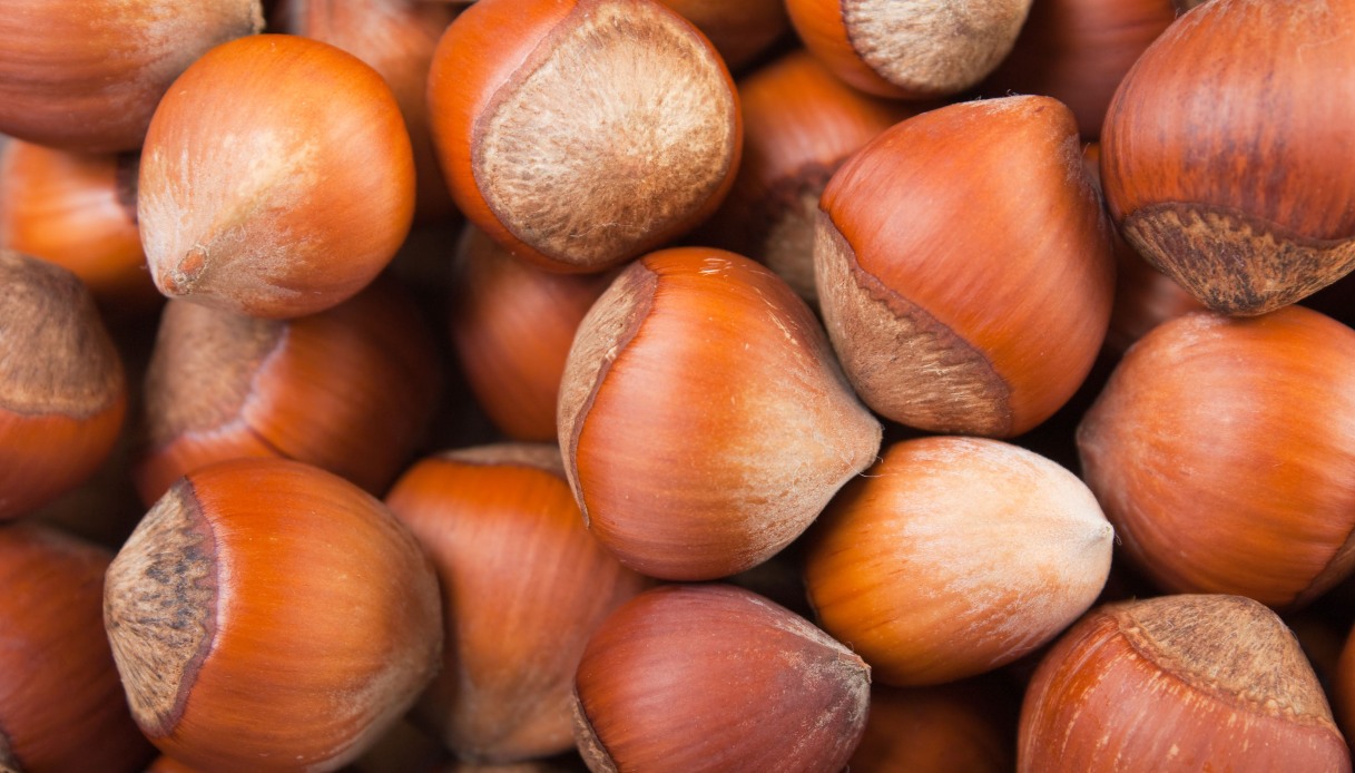 Prezzi delle nocciole raddoppiati e danni per 200 milioni a causa del clima