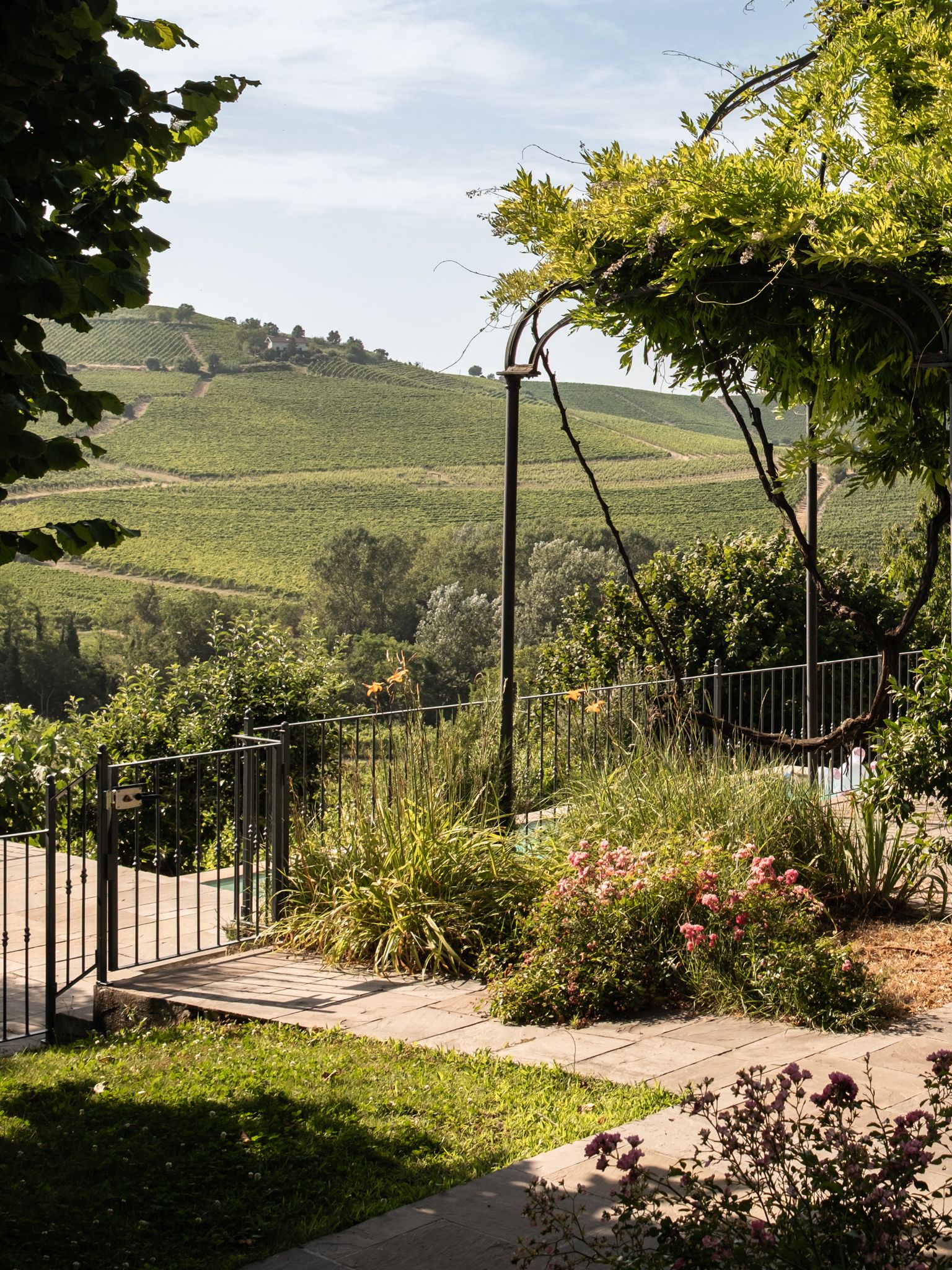 Giardino vigne alberi fiori