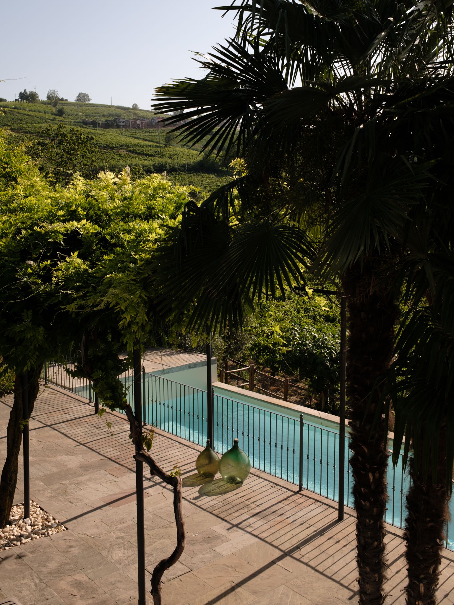 Piscina alberi vigne