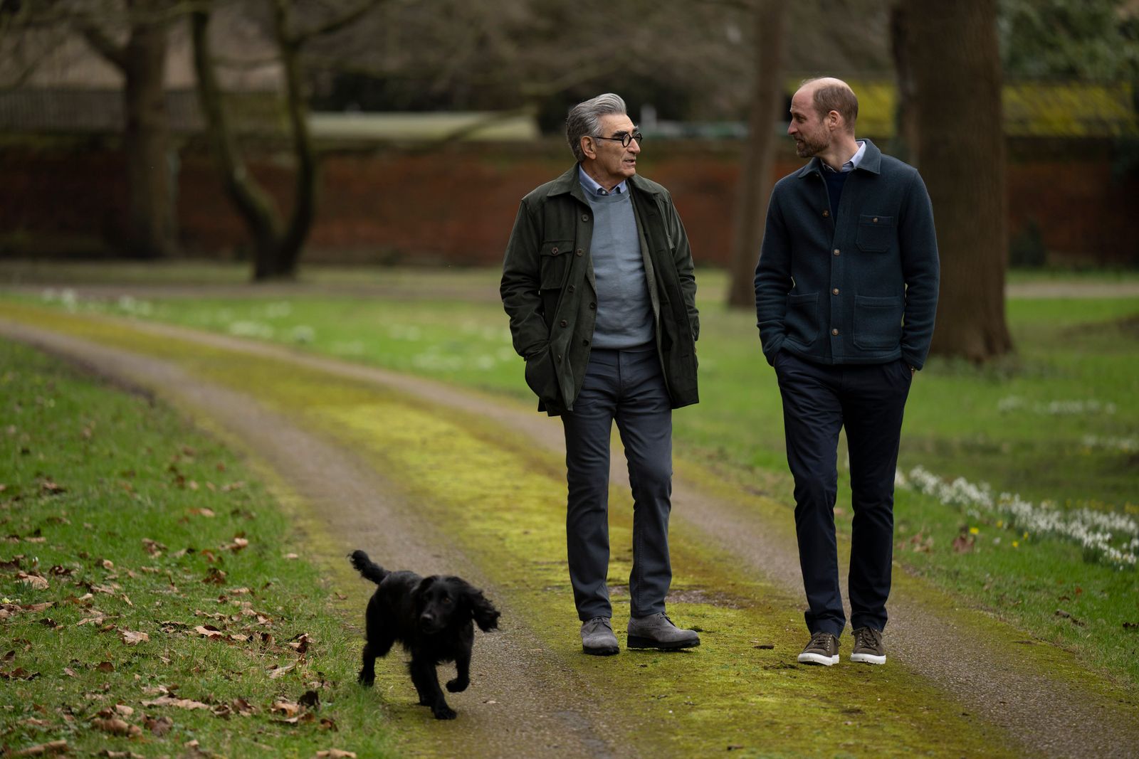 Un Principe in monopattino William in versione pop conquista la TV