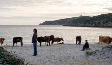 La vita va così, film: trama, cast, storia vera, recensione