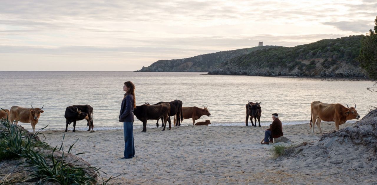 La vita va così, film: trama, cast, storia vera, recensione