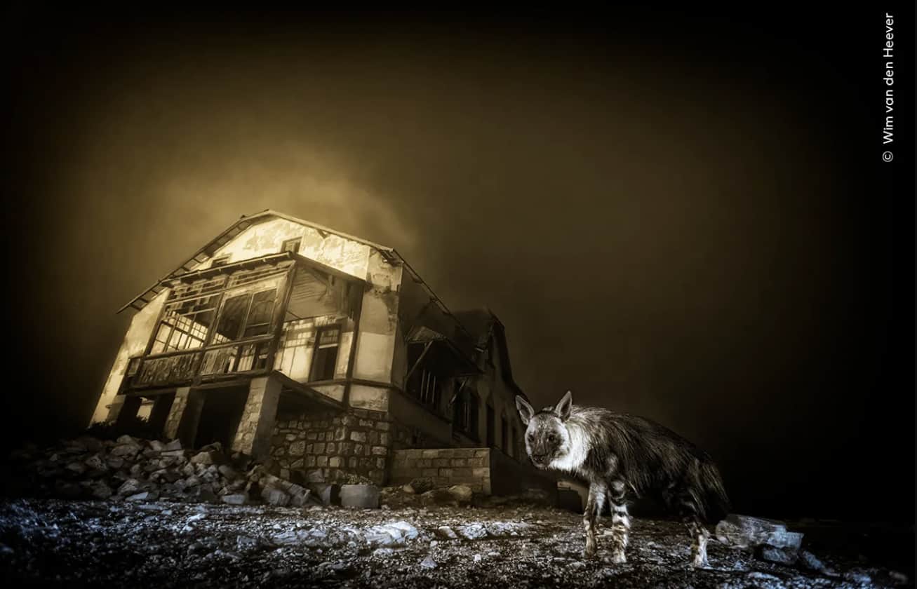 Ghost Town Visitor - Wim van den Heever Ghost Town Visitor - Wim van den Heever