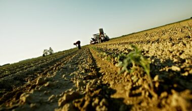 lo studio Lancet-Eat contro emissioni e malattie