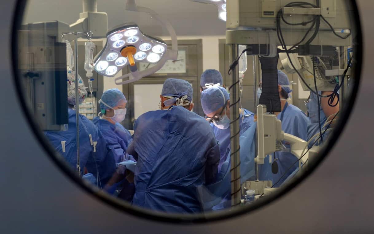 Firenze, bambino operato per tumore al cervello per errore resta invalido: maxi risarcimento