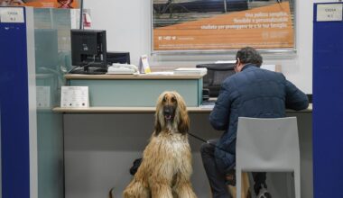 Oggi al via i bonifici istantanei senza extra-costi - Notizie