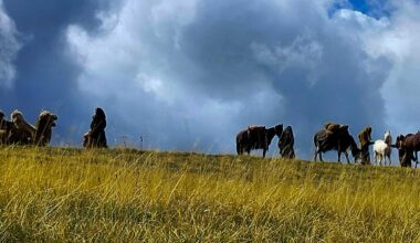 Cammelli a Campo Imperatore: l’Abruzzo diventa set per la miniserie Fox The Faithful