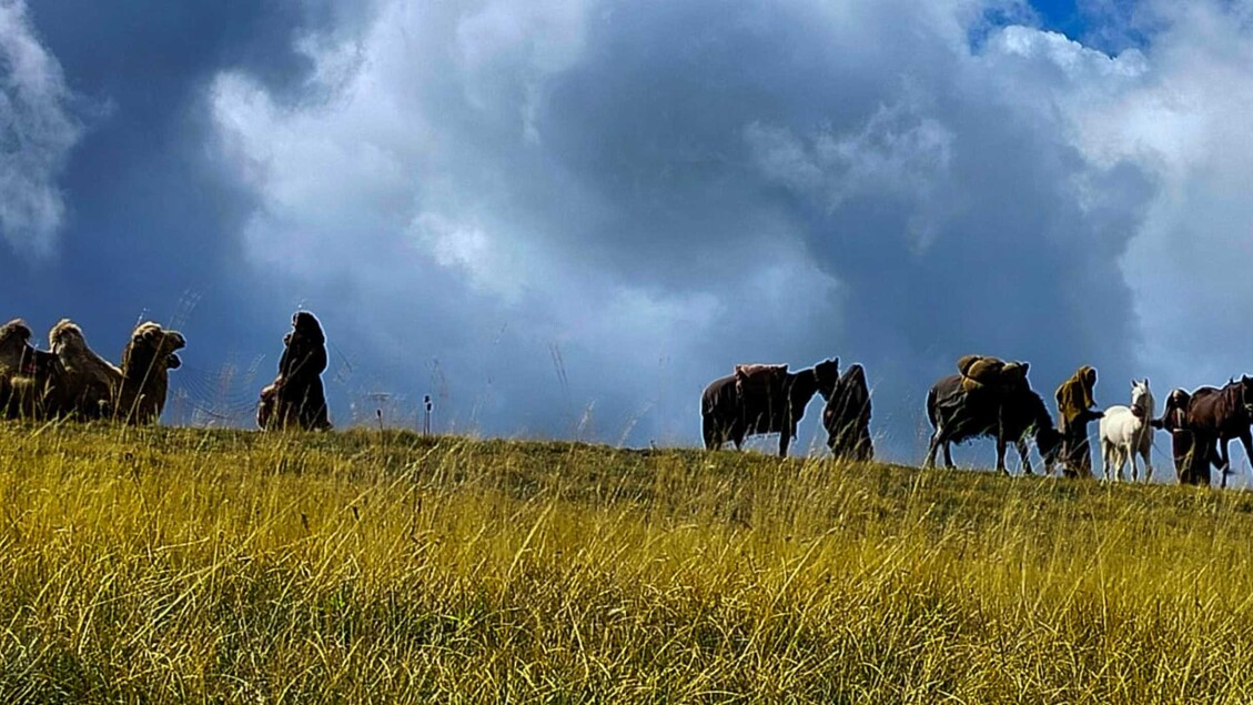 Cammelli a Campo Imperatore: l’Abruzzo diventa set per la miniserie Fox The Faithful