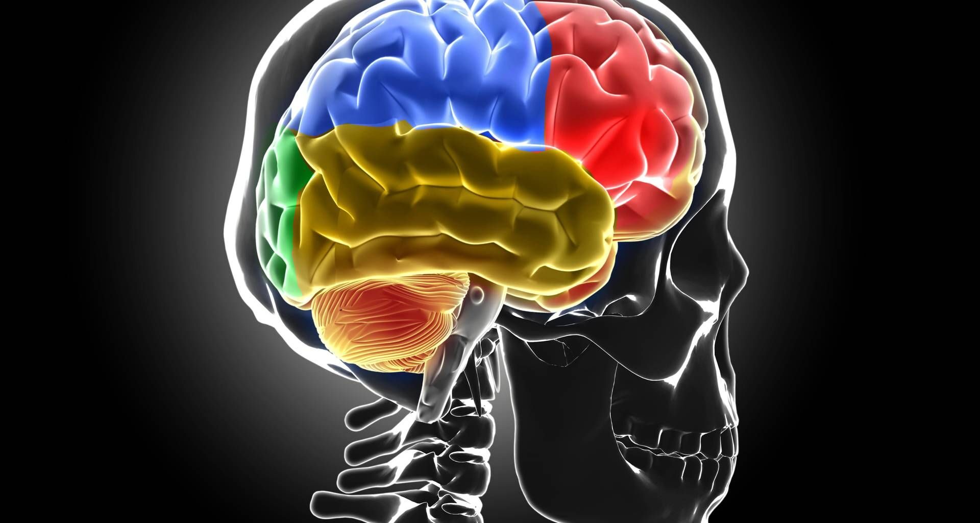 Ecco cosa succede al cervello senza sonno