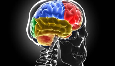 Ecco cosa succede al cervello senza sonno