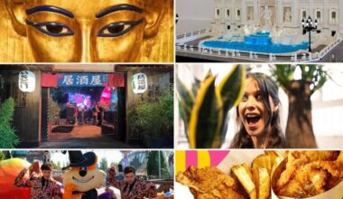 gli eventi da non perdere sabato 25 e domenica 26 ottobre 2025