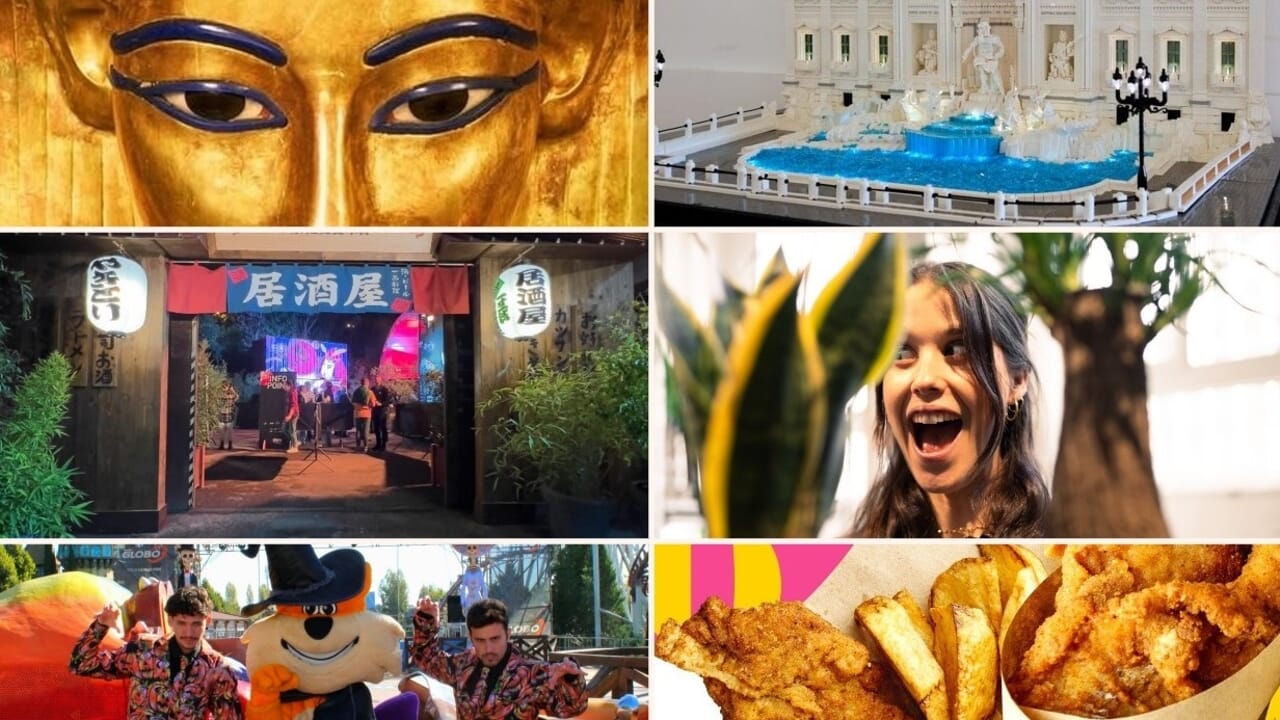 gli eventi da non perdere sabato 25 e domenica 26 ottobre 2025