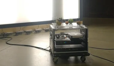 Yuko Mohri: ecosistemi nell'Hangar | Aurelio Andrighetto