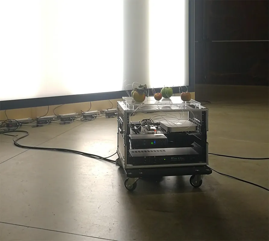 Yuko Mohri: ecosistemi nell'Hangar | Aurelio Andrighetto