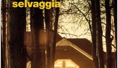 Auke Hulst - I bambini della Terra selvaggia Recensione