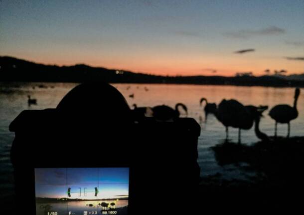 “Dal pelo dell’acqua in giù” conquista il Caselle Film Festival