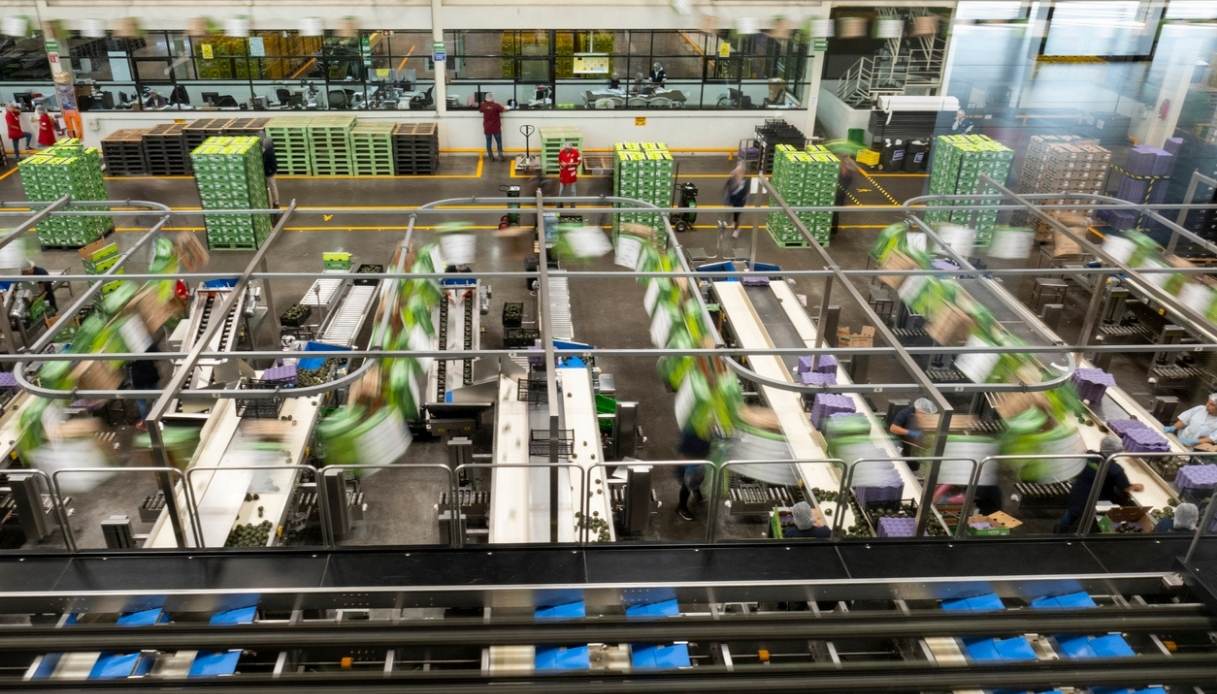 Dazi Usa, l'impatto su 34mila imprese italiane e i settori coinvolti