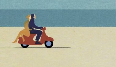 Destinazione errata | Domenico Starnone