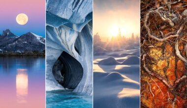Le immagini più belle del 2025: le foto che hanno vinto i Natural Landscape Photo Awards