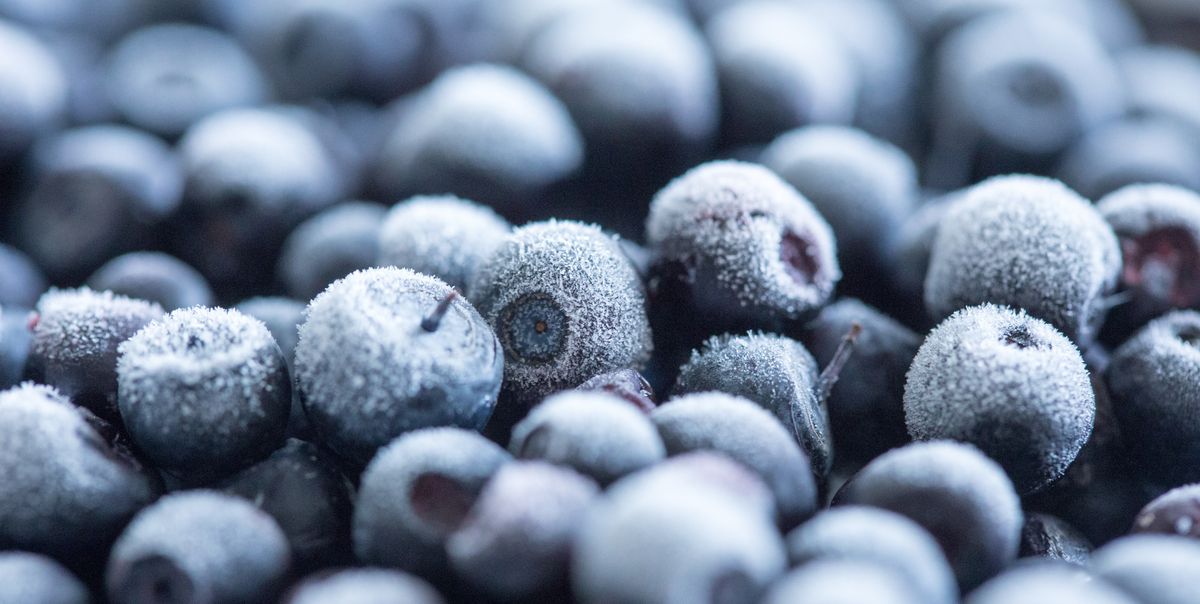 "Congelare i mirtilli protegge il cervello"
