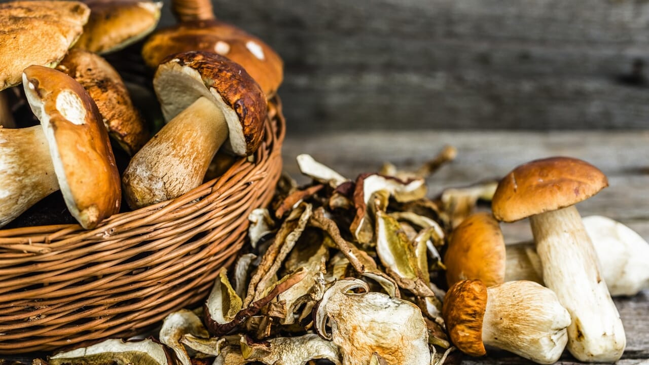 A Portico è tempo di Sagra dei frutti del sottobosco e dell'artigianato artistico