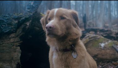 Questo film è perfetto per Halloween, è uscito direttamente in streaming