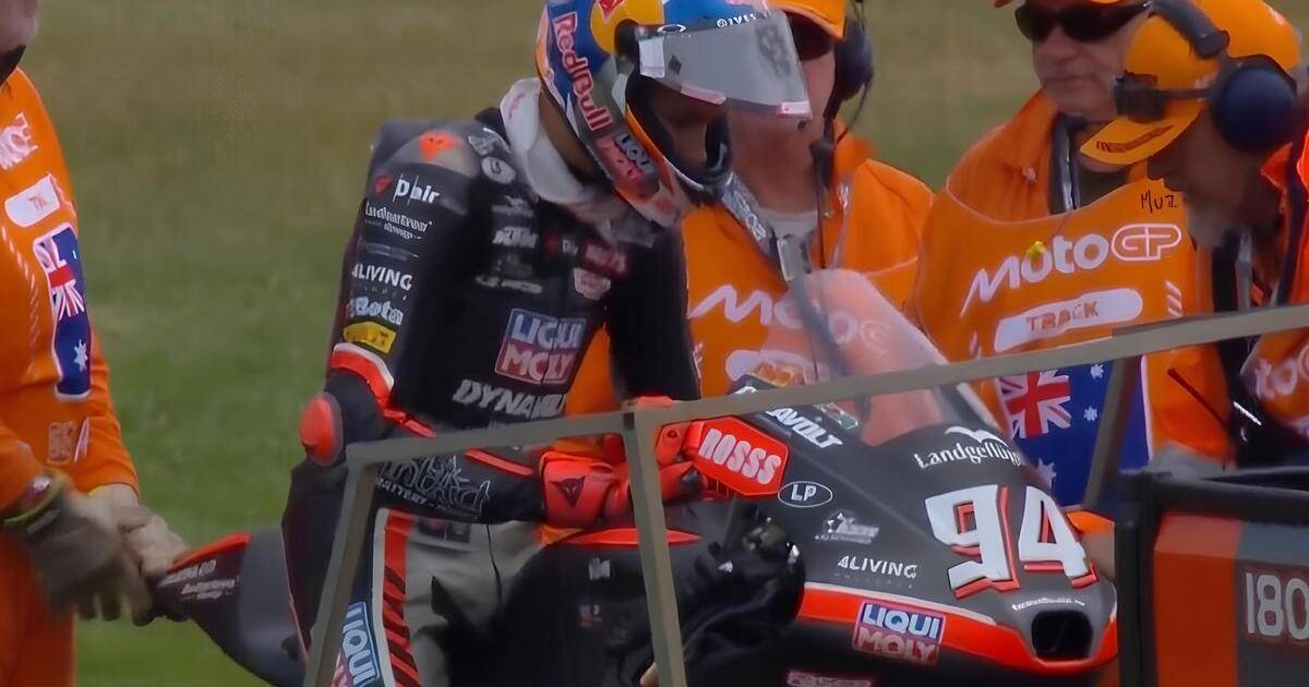 Pini e Lunetta presenti, Nepa ottimo segnale