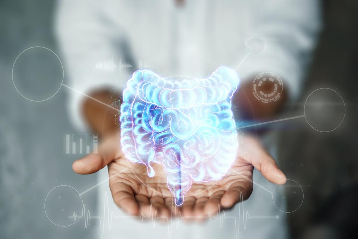 Intestino e problemi, Vaira del Sant’Orsola spiega in tv cosa sono i diverticoli e come prevenirli