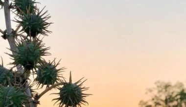 Il filato RadiciGroup conquista Ferragamo