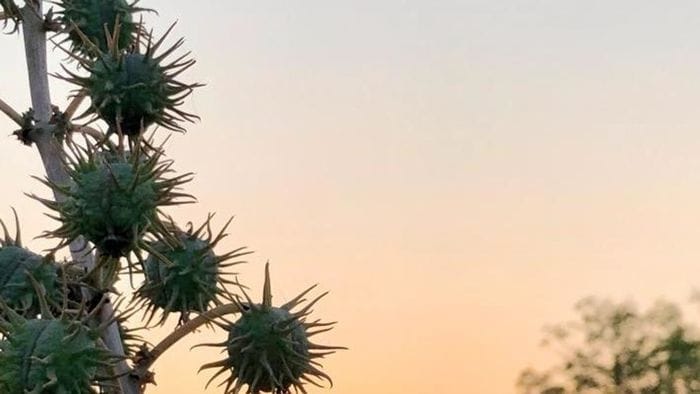 Il filato RadiciGroup conquista Ferragamo