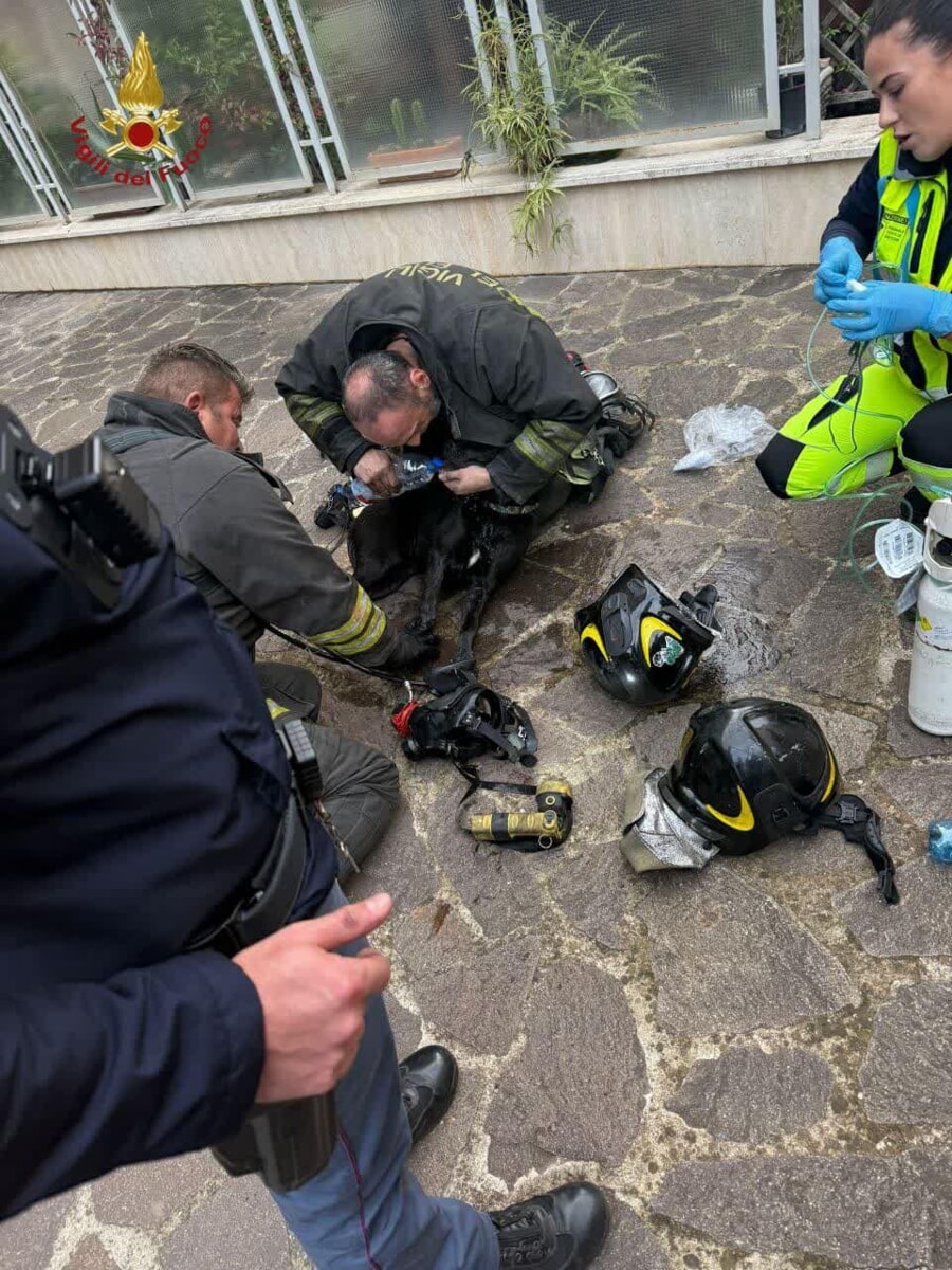 Il lavoro dei soccorritori