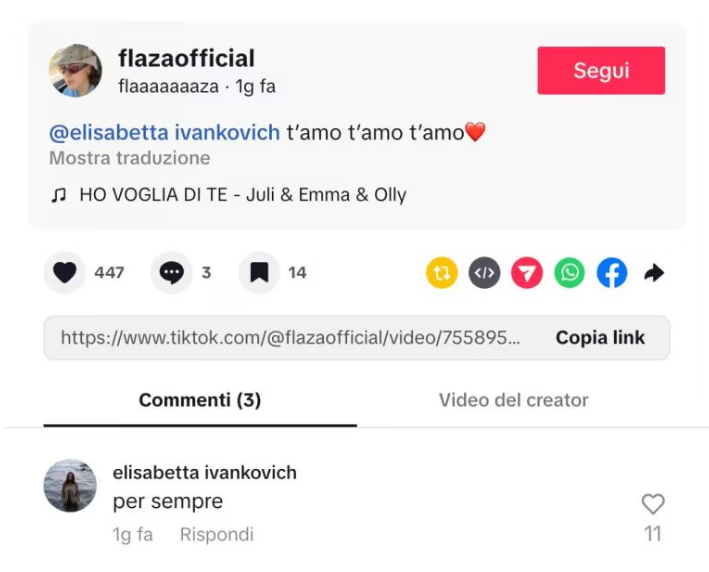 Il post di Flaza e la risposta di ELisabetta