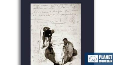 L'anno del nevone di Alberto Sciamplicotti