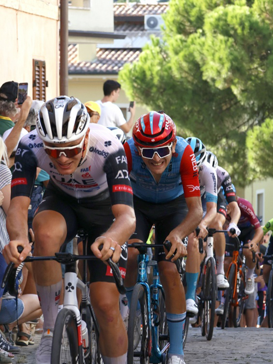 Dario Igor Belletta, Solme Olmo (Photors.it)